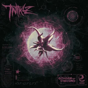 TNTKLZ - Fleck The Risk