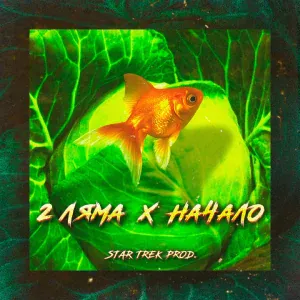 2 Ляма - Тверкай тётка