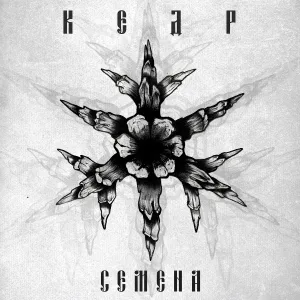 КЕДР - Семена