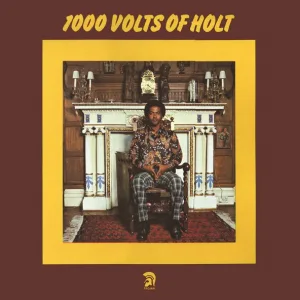 John Holt - Help Me Make It Through the Night