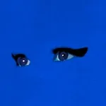 Allan Rayman - Never any no good