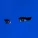 Allan Rayman - Never any no good