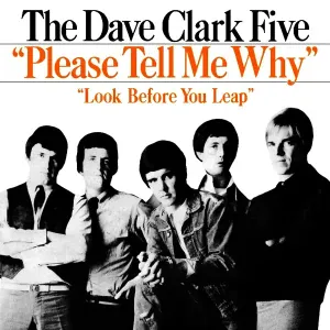 The Dave Clark Five - Look Before You Leap