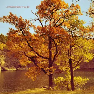 Lars Winnerbäck - Kommer och går