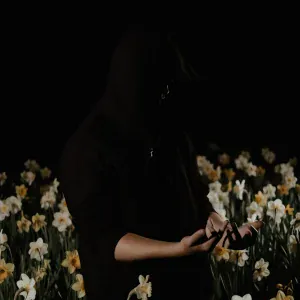 MWEY - NARCISSIST