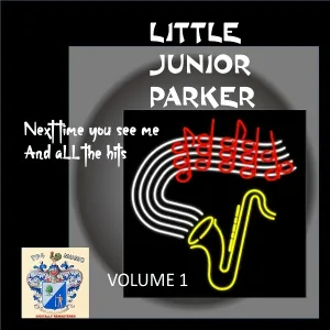 Little Junior Parker - Bagtracking