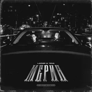 Lapier, Teva - Мерин