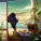 Lofi Fruits Music, Chill Fruits Music - Lakeside Morning