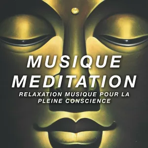 Slow Life Music Specialist - Combattre Votre Colère