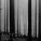 Umar Keyn - Withered