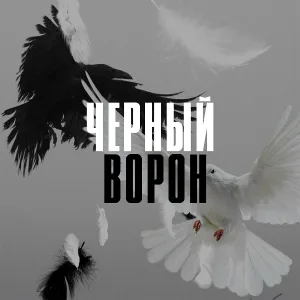 Аслан Улпанов - Черный ворон