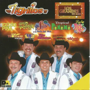 Tigrillos feat. Los Garza de Sabinas - Rudy el Millonario