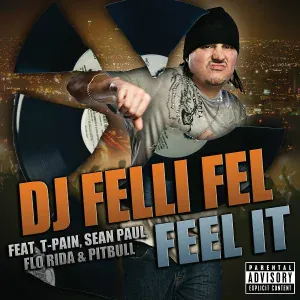 DJ Felli Fel feat. T-Pain, Sean Paul, Flo Rida, Pitbull - Feel It
