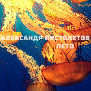 Александр Пистолетов - Самолёт