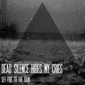 Dead Silence Hides My Cries - Set Fire to the Rain (Cover)