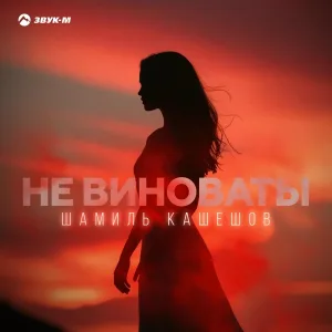 Шамиль Кашешов - Не виноваты