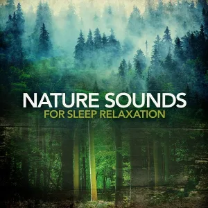 Anjey Satori - Blue Planet