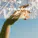 Akmalov - Life Is Beautiful