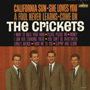 The Crickets - She Loves You