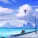 Lofi Fruits Music, Chill Fruits Music - Still D.R.E.