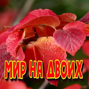 Сергей Грищук - Мир на двоих