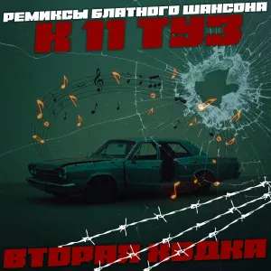 Группа Пули-Дни - Гуляй братва (Remix)