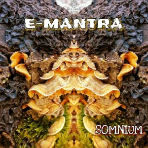 E-Mantra - Into The Blue