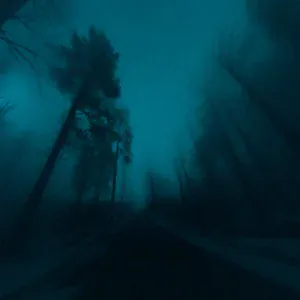 this voice in my head - in the middle of the ocean