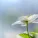 Sounds of Nature Noise, Bedtime Songs Collective, Deep Sleep Music Delta Binaural 432 Hz - Soulful Beauty