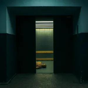 Synecdoche Montauk - Медведь