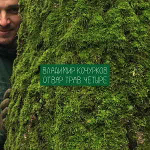 Владимир Кочурков - Вороний глаз