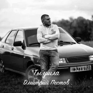 Дмитрий Пестов - Ты ушла