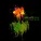 OneRepublic feat. B.o.B - Good Life