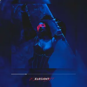 DEE-SAN - Elegant