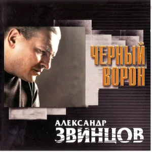 Александр Звинцов - Питер