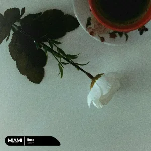Xezzo - Rose