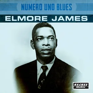 Elmore James - Something Inside Of Me