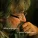 Матвеенко Сергей - Одиночество