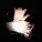 yukidead - losted notes