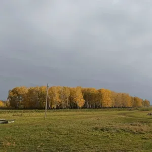 Петя Оверкиллов - Я знаю... (про любовь)