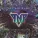 Tnt - Forever Shine On