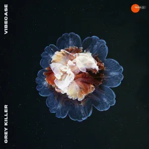 Grey Killer - Too Long