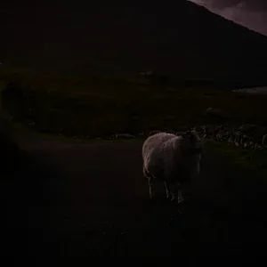 nøave - Binaural Beats for Deep Sleep and Relaxation