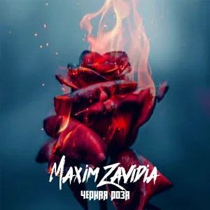 Maxim Zavidia - Чёрная роза