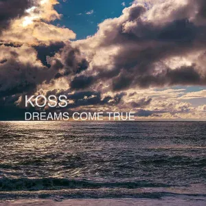 Koss - In Immersion
