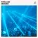 DJ EDM, Global EDM Collective, EDM Hits, EDM Masters - Rave Eclipse