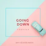 Zeni N, Erdit Mertiri - Going Down