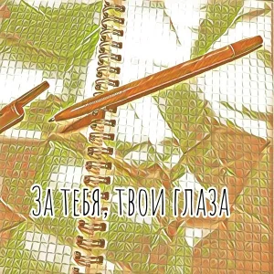 МАЛЬГИН - За тебя, твои глаза