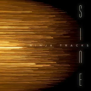 NINJA TRACKS - Twelve