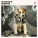 Dog Whisper, Dog Sleep, Dog Music Jukebox - Dog Calming Frequencies
